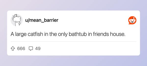 A short Reddit post describing finding a large catfish living in a friend's bathtub.
