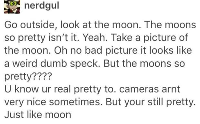 A wholesome meme from a Tumblr post that compares taking bad pictures of the moon to being pretty in real life.