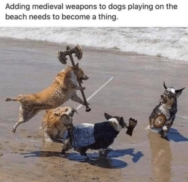 Funny edited photo of dogs playing on a beach while holding medieval fantasy weapons and armor.