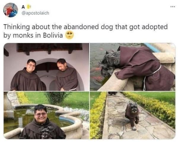 A wholesome meme showing a dog that was adopted by monks in Bolivia.