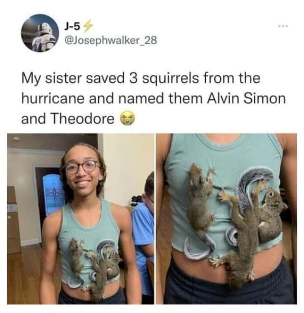 A smiling girl holding three baby squirrels rescued from a hurricane, named Alvin, Simon, and Theodore.