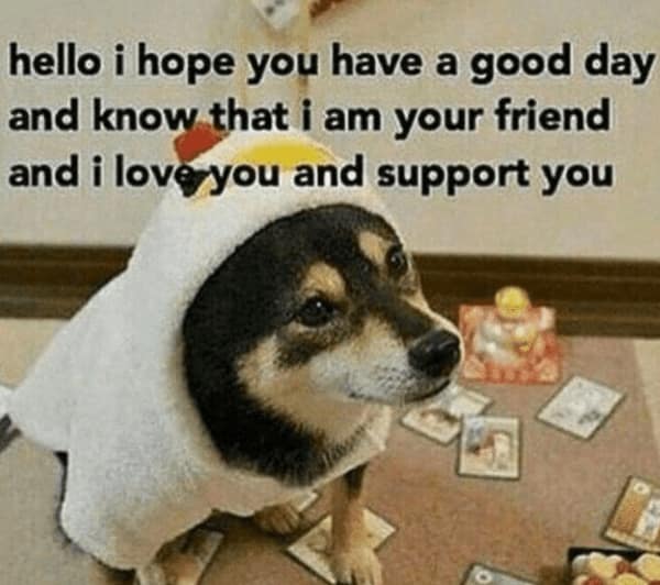 A wholesome meme of a cute dog in a hoodie sending a message of love and support.