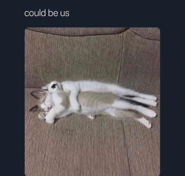 A cute photo of two cats cuddling and sleeping together spooning on a brown couch.