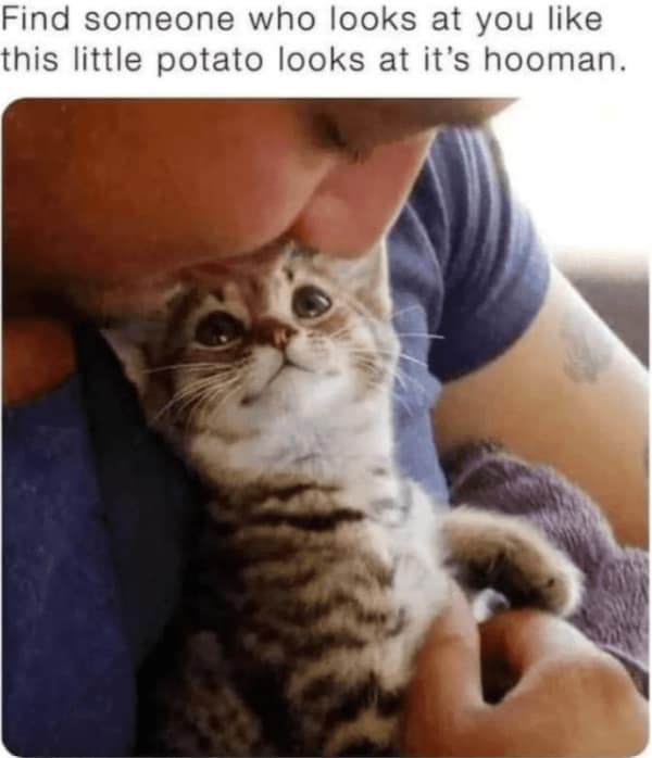 A tiny tabby kitten looking up lovingly with wide eyes at its owner holding it.