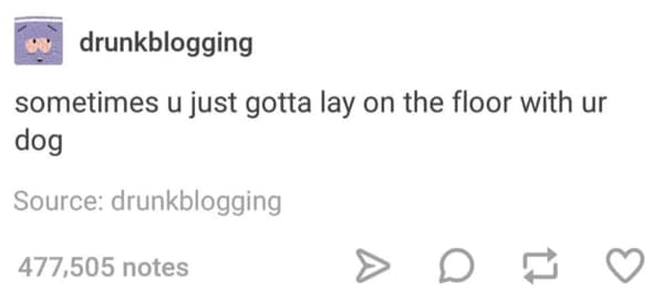 A wholesome meme about the simple, comforting act of laying on the floor with your dog.