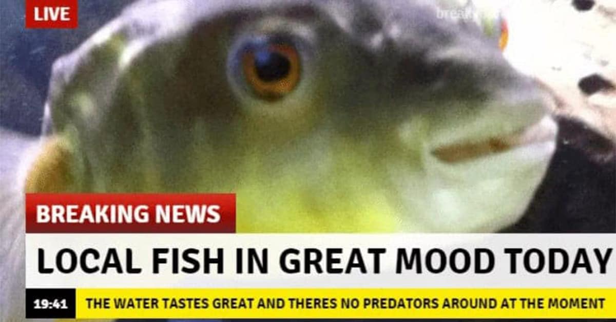 A gallery of the best and most wholesome memes, featuring happy memes and heartwarming moments to brighten your day.