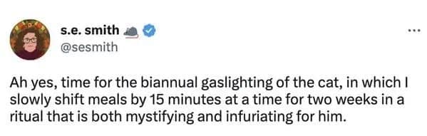 A funny fall back daylight savings meme about the "biannual gaslighting of the cat" for meal times.