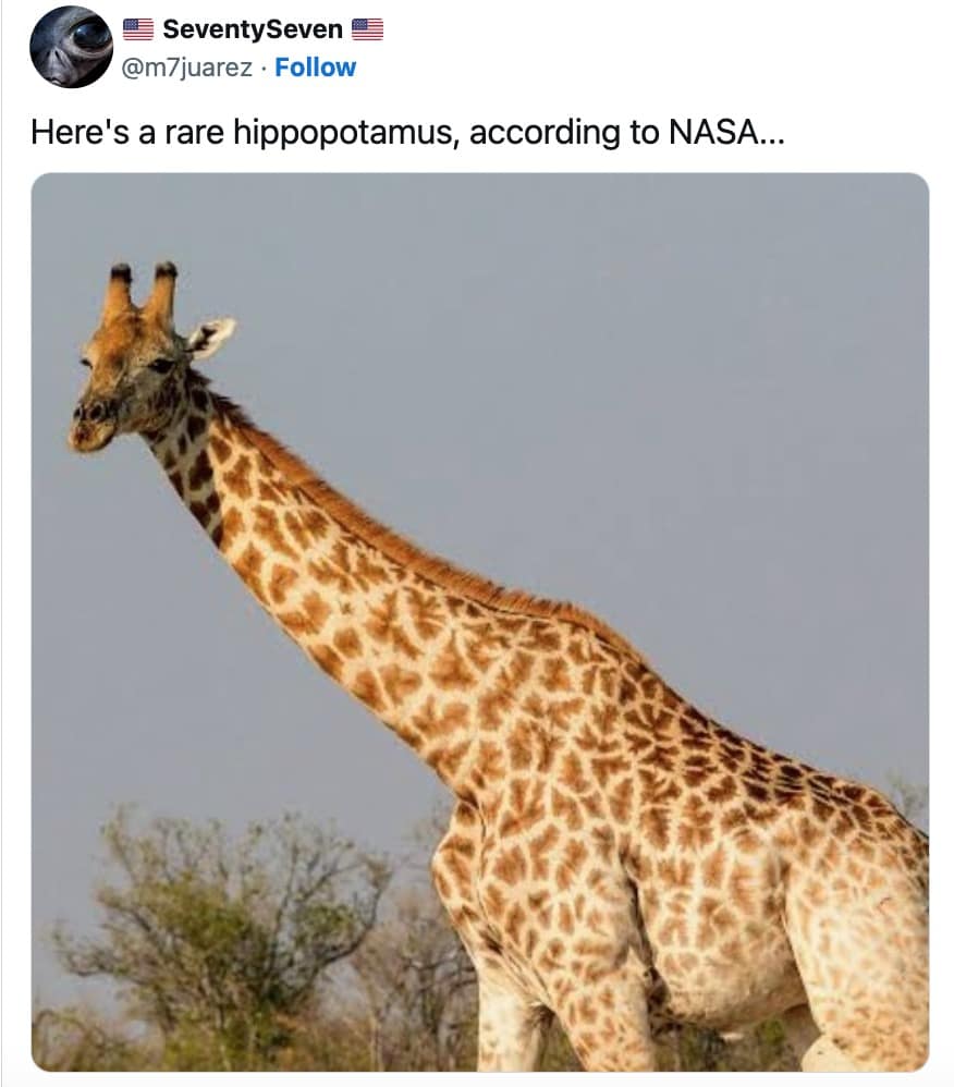 Sarcastic 3I ATLAS meme showing a giraffe labeled as a hippopotamus