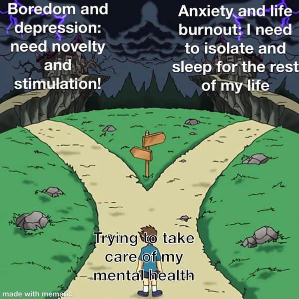 ADHD meme showing a character choosing between depression and anxiety