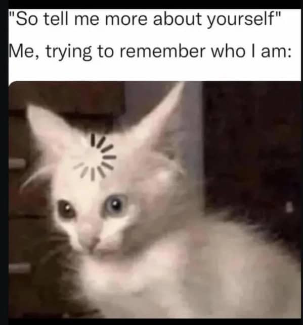 ADHD meme using a loading cat to represent forgetting your identity