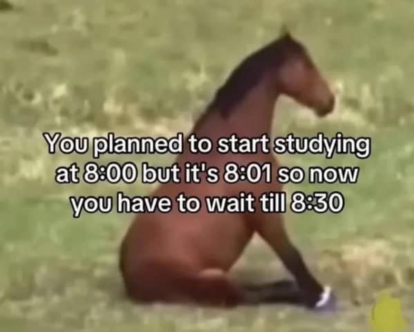 ADHD meme of a horse sitting down because it missed the 8:00 start time