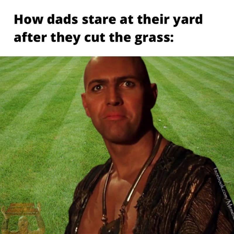 A funny The Mummy meme of Imhotep staring proudly at a freshly mowed lawn like a dad.