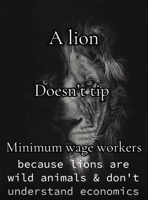 Intense lion face with text explaining that lions do not tip service workers.