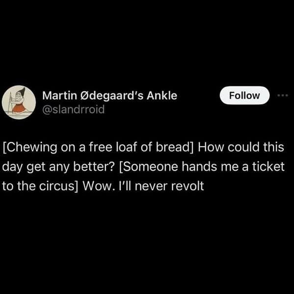 A funny bread meme of a cat with a slice of bread around its head, looking absolutely furious.