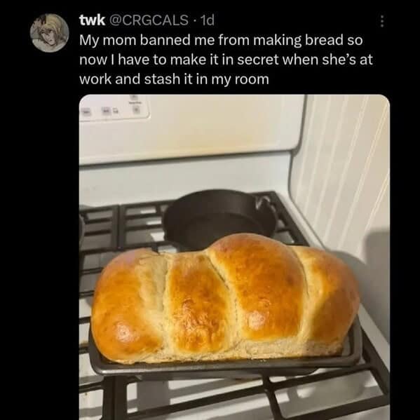 A funny bread meme of Oprah Winfrey shouting to a crowd, "You get a bread! You get a bread!"
