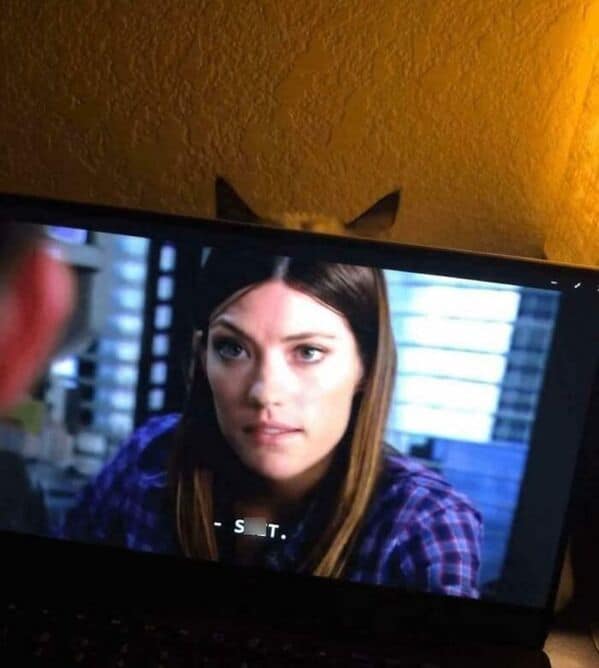 A monitor displaying a woman's face, with a camouflaged cat's ears barely visible above the screen.