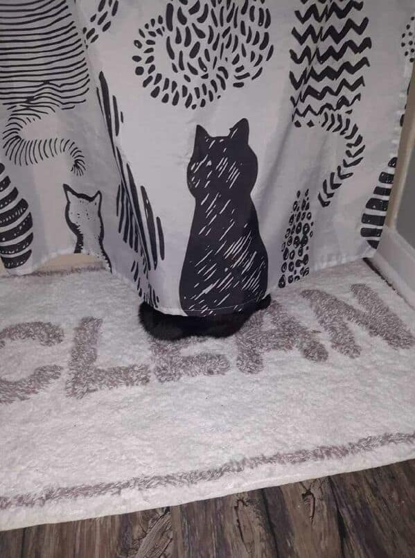 A fluffy black cat perfectly camouflaged behind a shower curtain with black cat silhouettes.