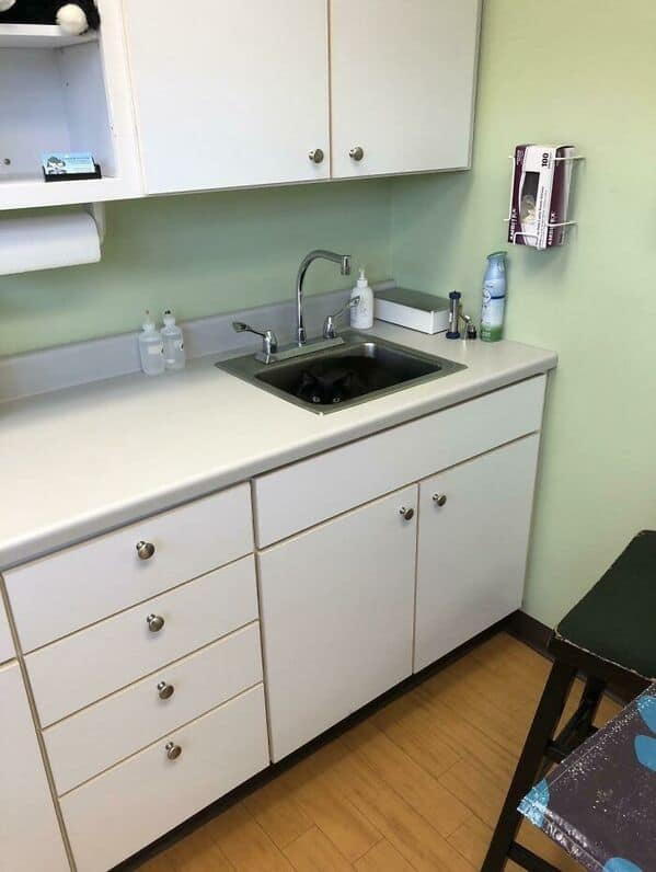 A black camouflaged cat nestled perfectly inside a shiny silver sink basin at a vet's office.