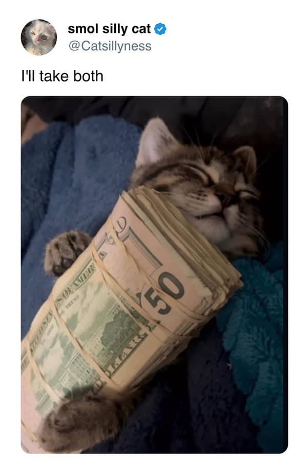 Sleeping tabby cat hugging a massive stack of fifty-dollar bills in a cat meme.