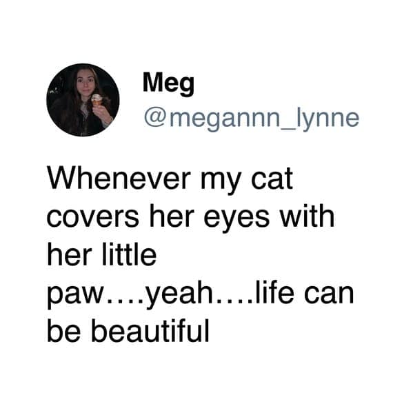 Viral text post describing a wholesome cat meme moment about a cat covering its eyes.