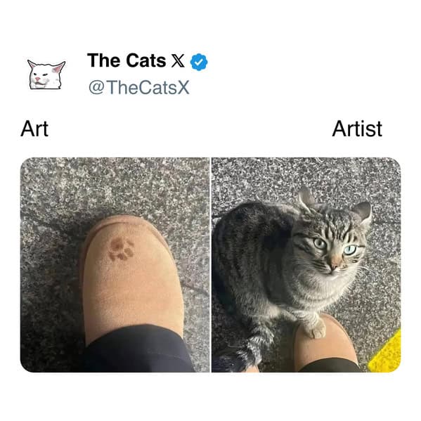 A funny cat tweet and cat meme showing "Art" (a muddy paw print on a boot) and "The Artist" (the guilty cat).