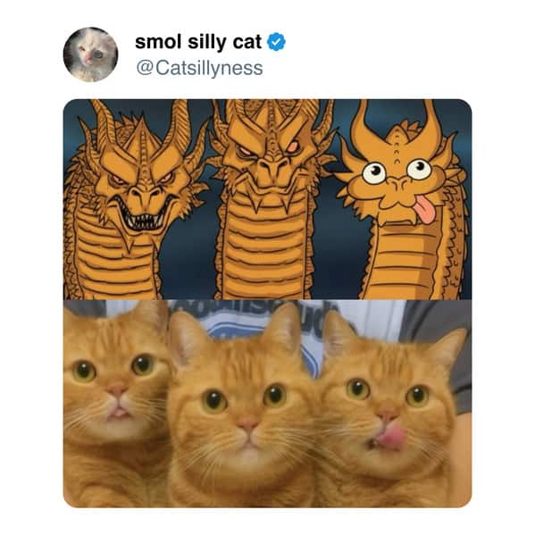 Three orange cats mimicking the King Ghidorah dragon heads in a cat meme.