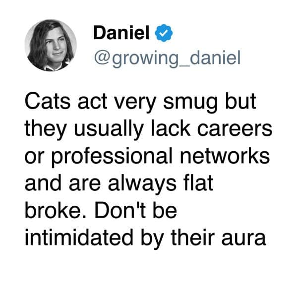 A funny cat tweet and cat meme roasting cats for being "smug" even though they are "flat broke" and "lack careers."