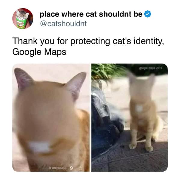 Google Maps street view image where a cat's face is blurred out for privacy in a cat meme.