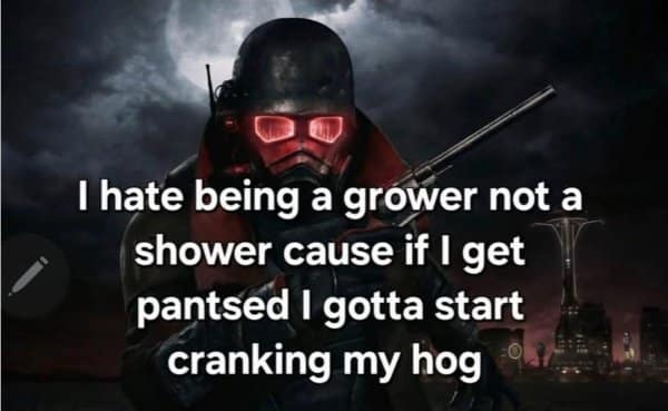 A classic meme of a "Fallout" NCR Ranger with a cursed, unhinged "cranking my hog" caption