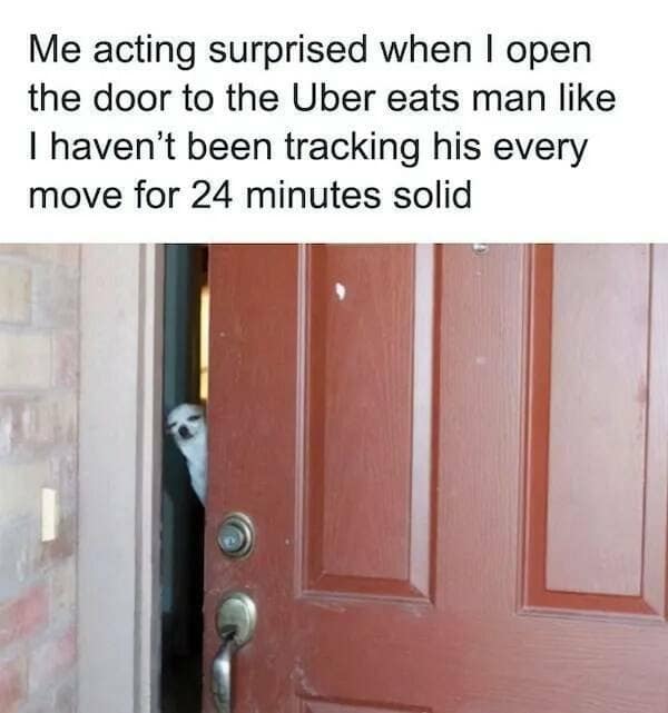A classic meme of a dog peeking through a door, joking about tracking the Uber Eats driver.
