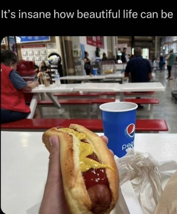 A classic meme of a Costco hot dog and soda, captioned "It's insane how beautiful life can be."