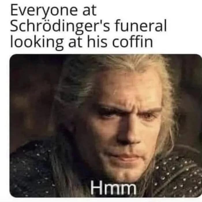 The Witcher classic meme joking about Schrödinger's cat paradox