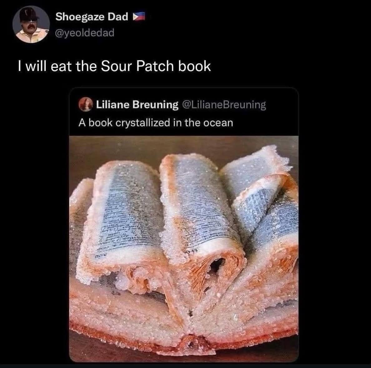 A book crystallized in salt looking like Sour Patch Kids in a classic meme.