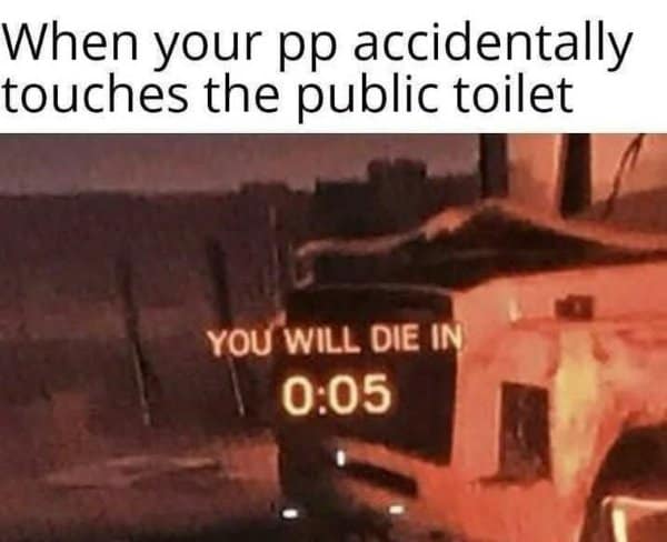 A classic meme using a "You will die in 5 seconds" video game screen to describe touching a public toilet.