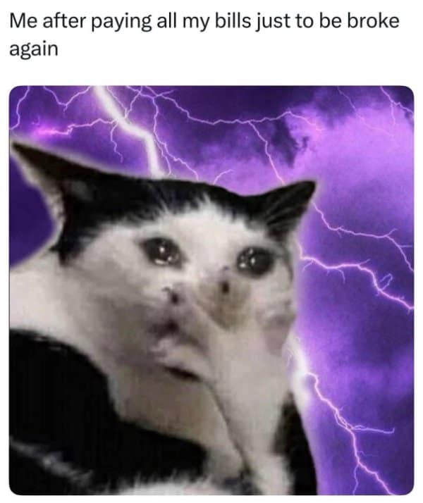 A classic meme of a dramatic, crying cat with lightning, joking about being broke after paying bills.