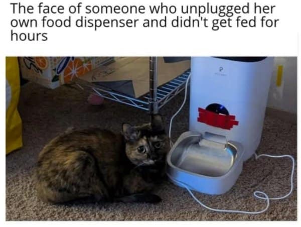A classic meme of a cat who unplugged her own food dispenser and "didn't get fed for hours."