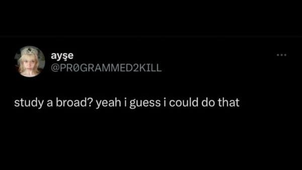 Classic meme featuring a pun about studying abroad vs a broad