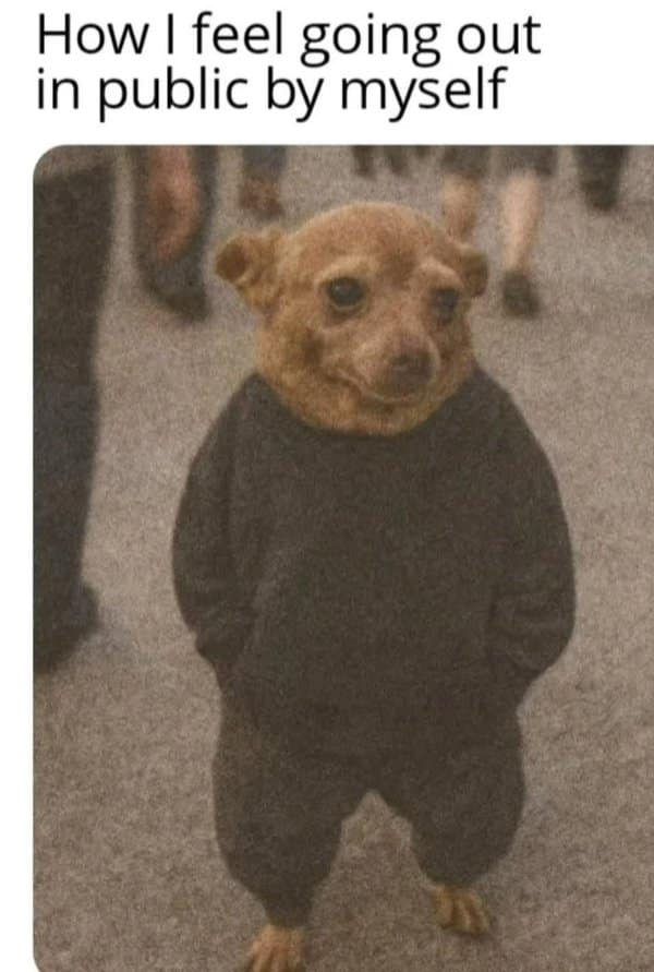 A classic meme of a small, awkward dog in a sweatshirt, captioned "How I feel going out in public by myself."