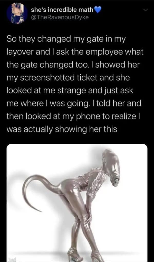 A classic viral tweet about a woman who accidentally showed a "sexy alien" photo to an airport employee instead of her ticket.