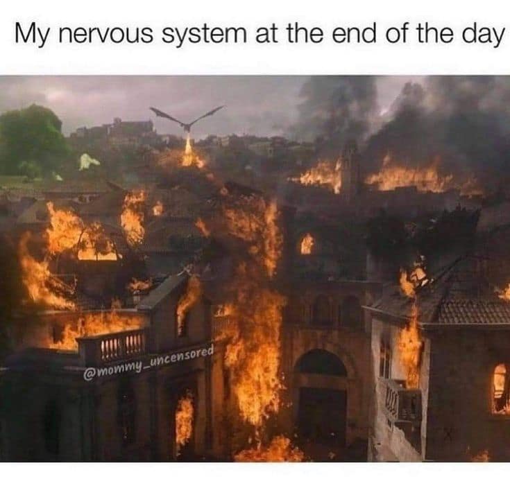 Classic meme comparing a nervous system to a burning city