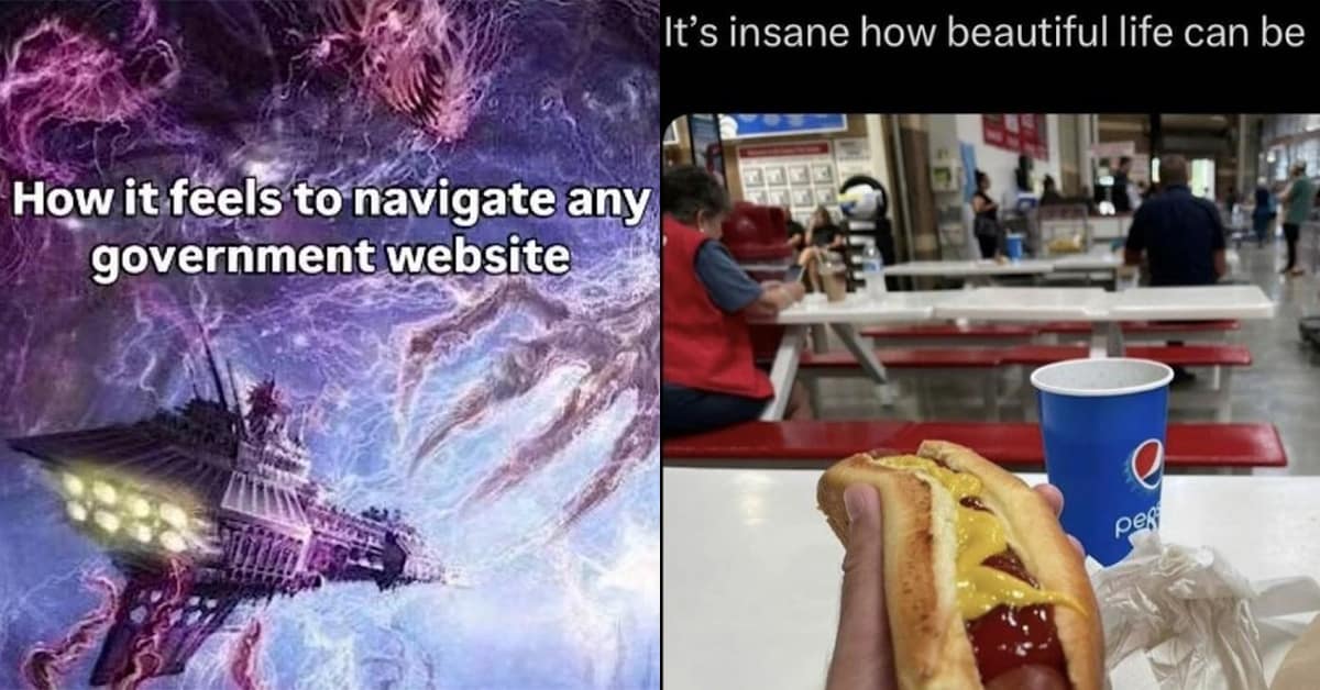 A hilarious gallery of classic memes, featuring viral tweets, old memes, and vintage meme formats.