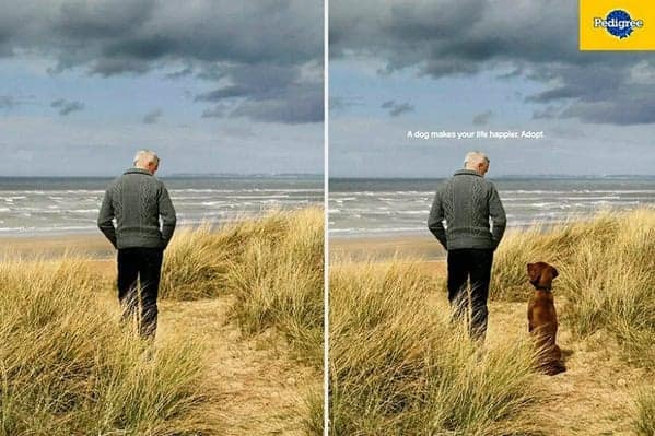 Split screen showing a lonely man versus a man with a dog in a Pedigree clever ad.