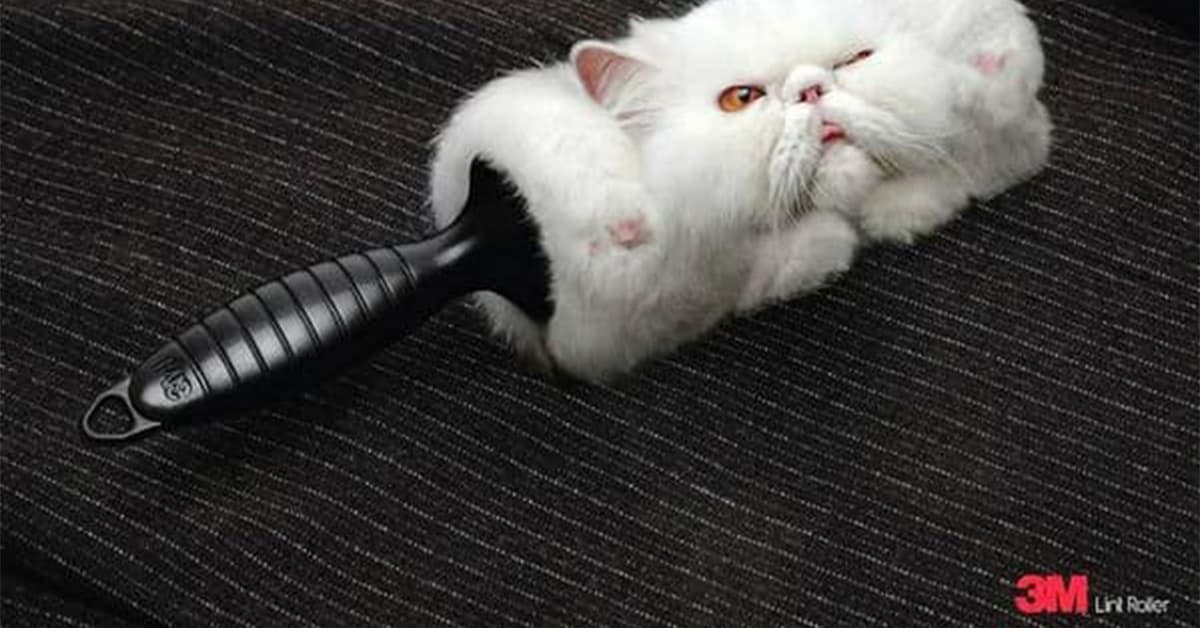 Compilation of the best creative ad design examples and every clever ad from the list.