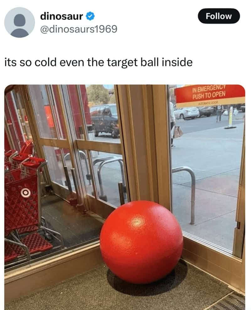 Funny cold weather meme showing a Target ball moved inside with text "its so cold even the target ball inside."
