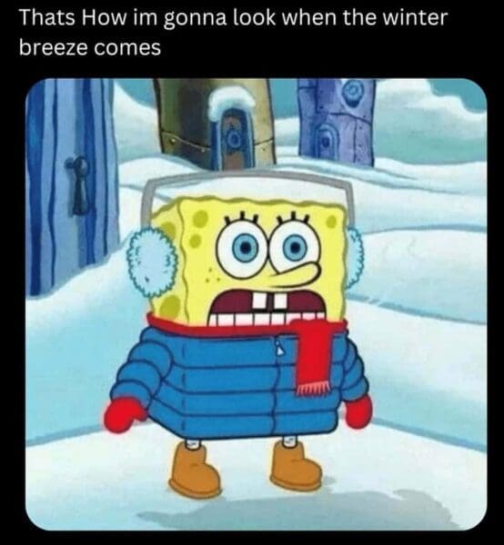 30 Cold Weather Memes for Everyone Already Over Winter