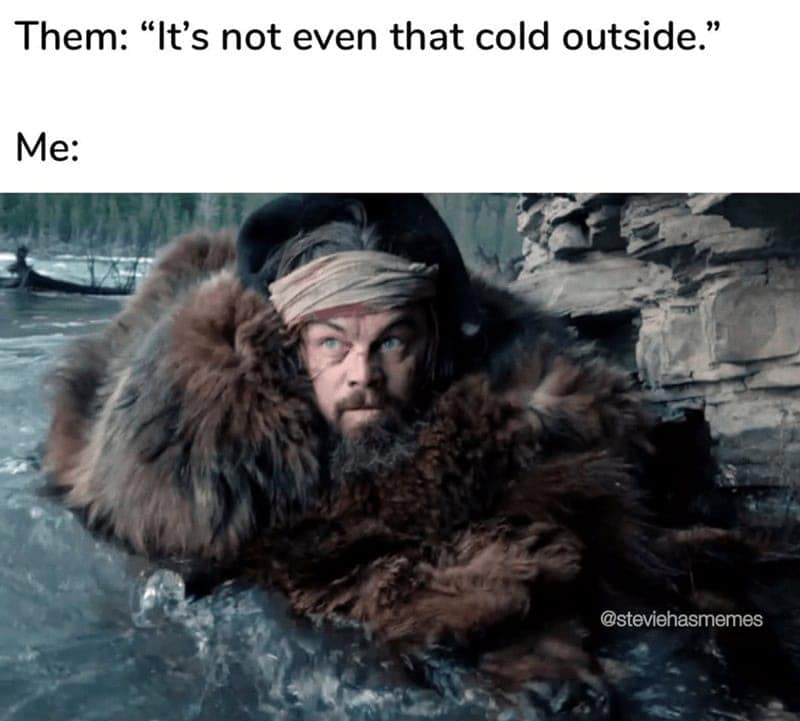 Cold weather meme comparing Leonardo DiCaprio in The Revenant to how it feels when people say "it's not even that cold."