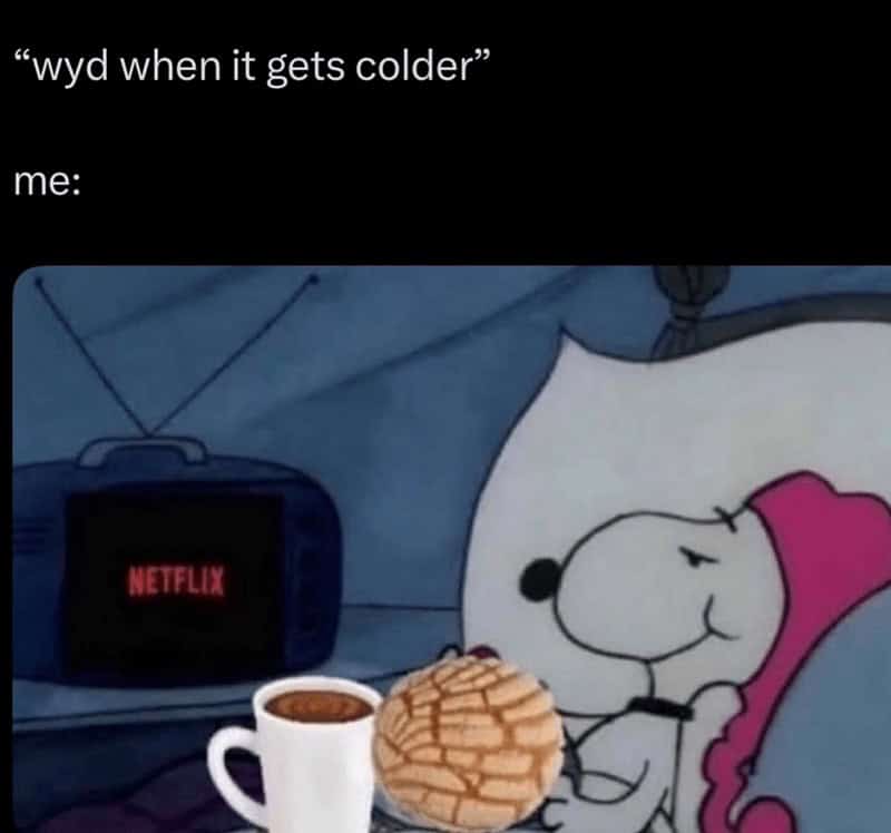 Snoopy in bed with Netflix, hot chocolate, and a concha, captioned "wyd when it gets colder."