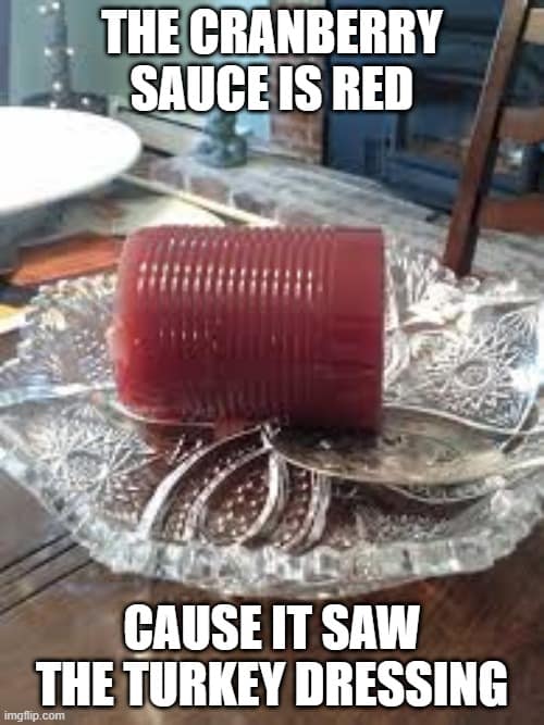 Cranberry sauce meme claiming the sauce is red because it saw the turkey dressing