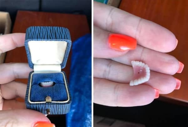 Bizarre thrift store find of a single fake tooth in a velvet jewelry box.