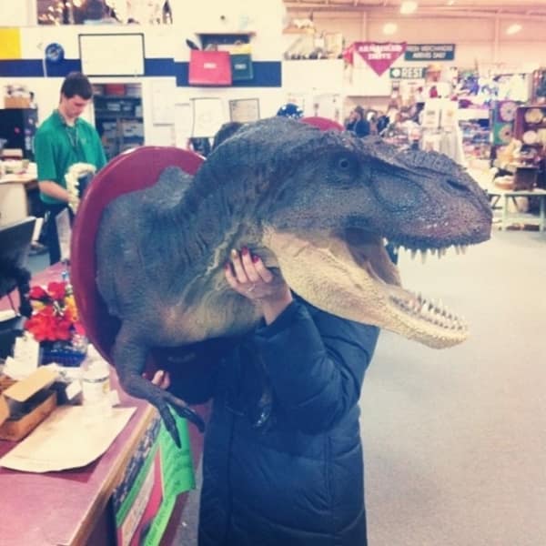 Shopper holding a massive mounted T-Rex dinosaur head wall decoration.